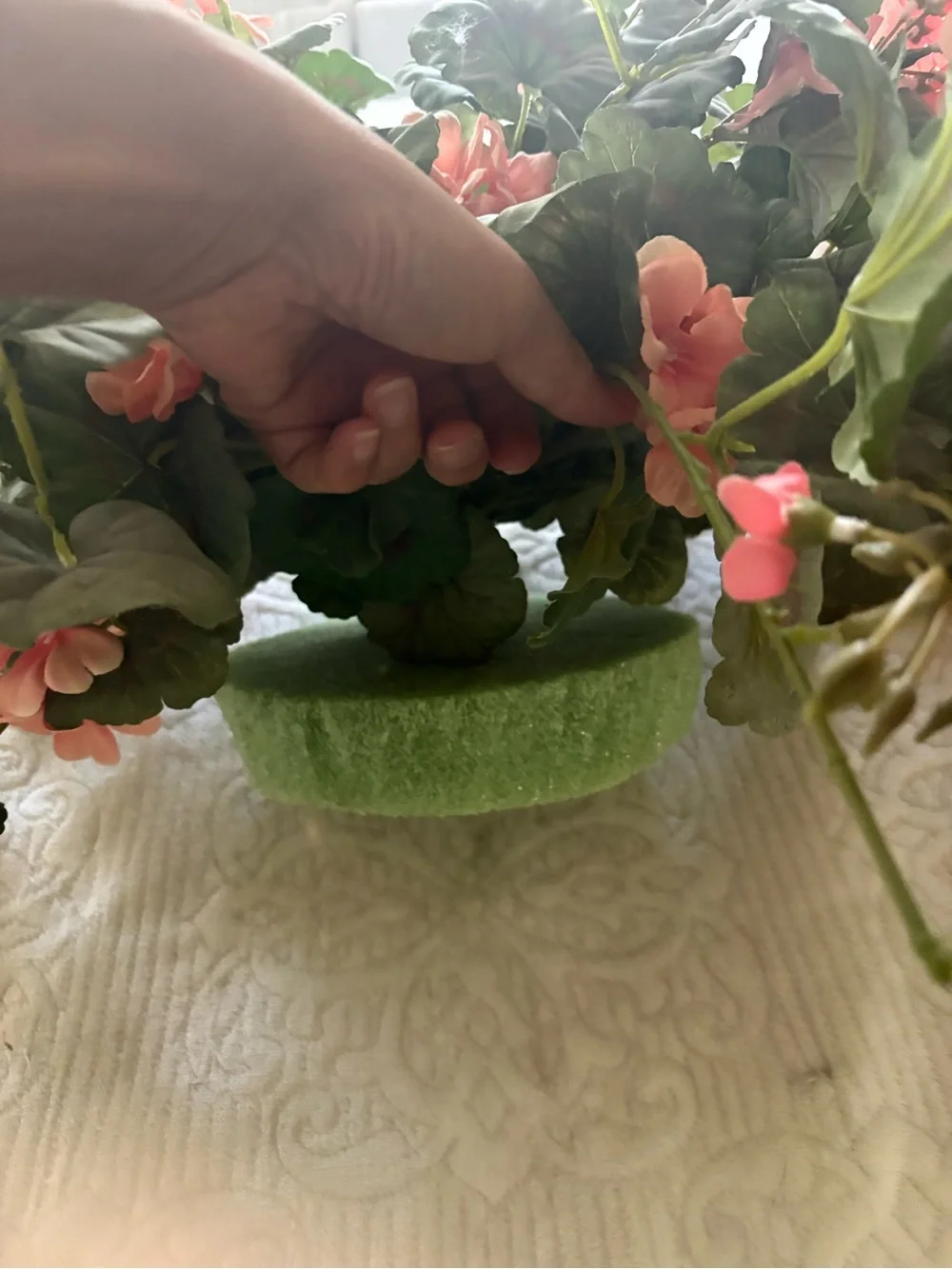 Silk Pink Begonia Urn Filler - Brand:Valerie Parr Hill